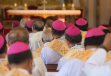 FABC 50: Asian Catholic bishops urged to immediately declare ‘climate emergency’ Asian Catholic Bishops at FABC50